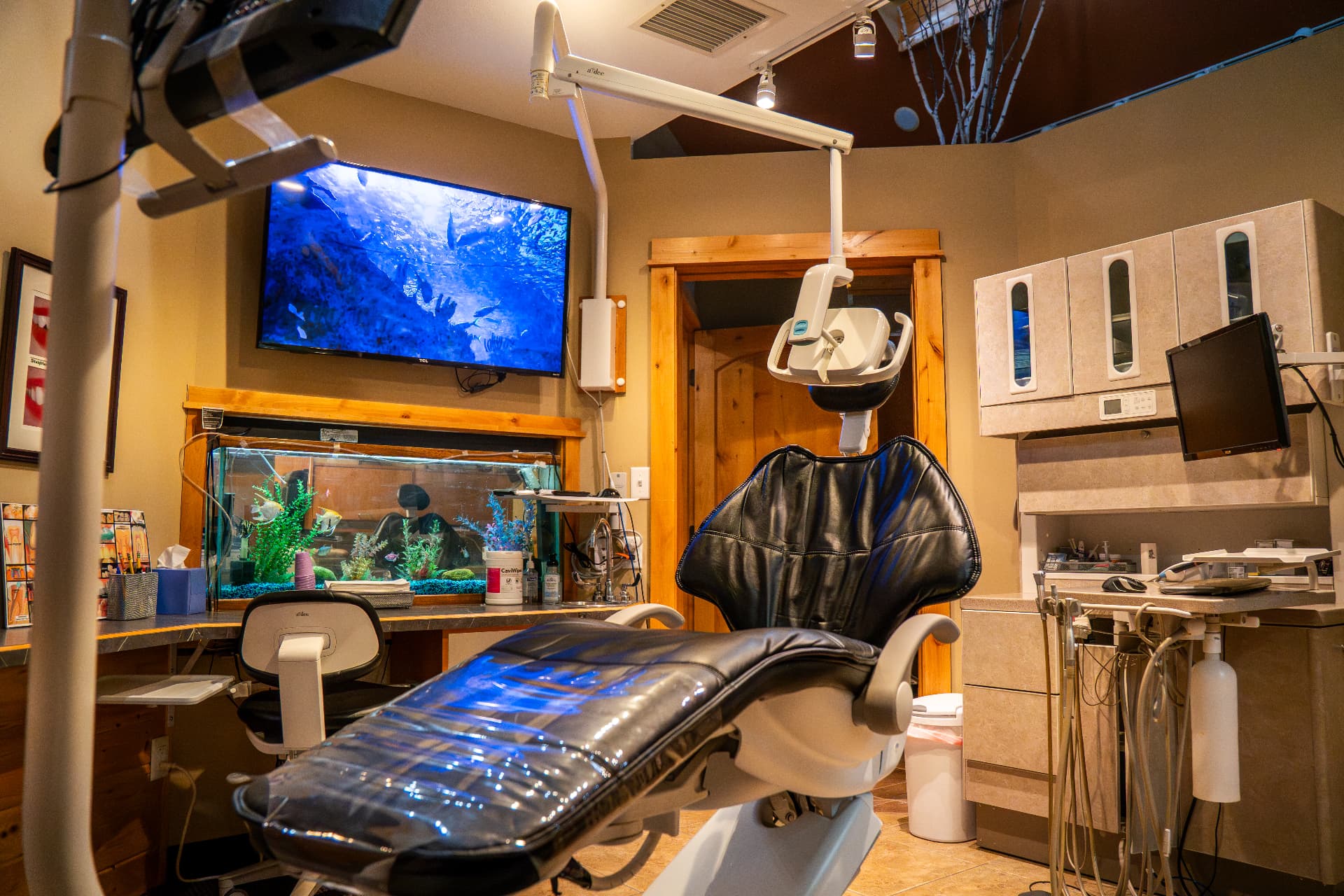 13. Aquarium treatment room.